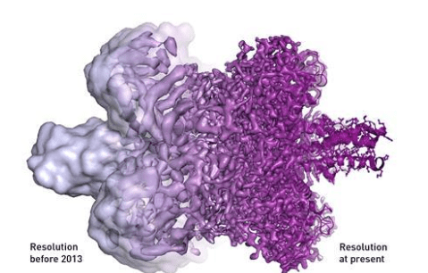 Protein image 3
